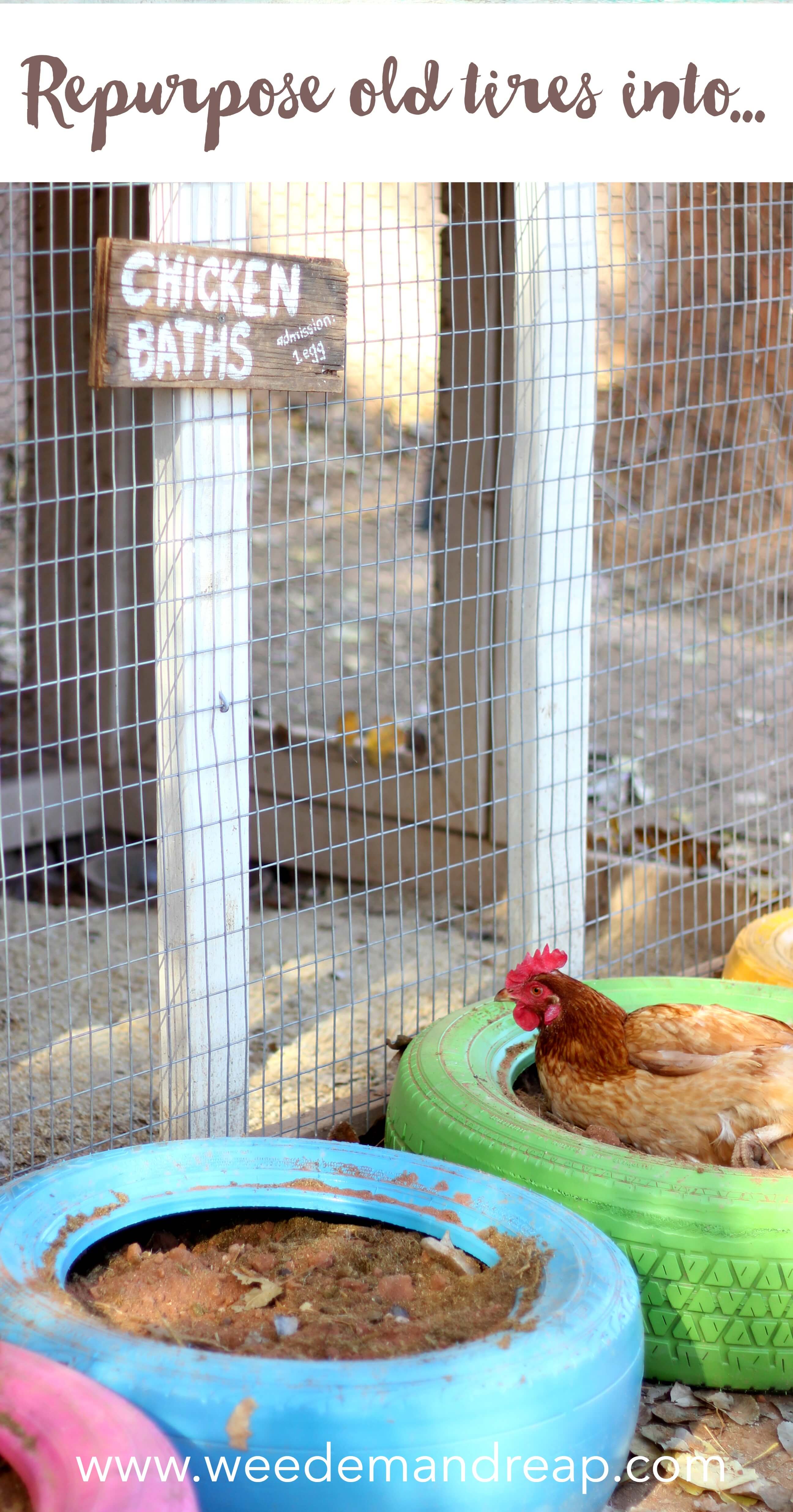 Repurposing Old Tires Into Chicken Baths || Weed 'Em and Reap