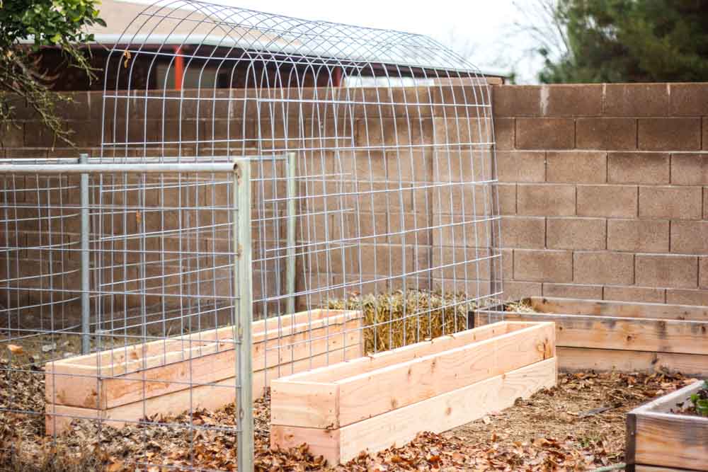 How to make a Trellis & Raised Garden Box Combo | Weed 'Em and Reap