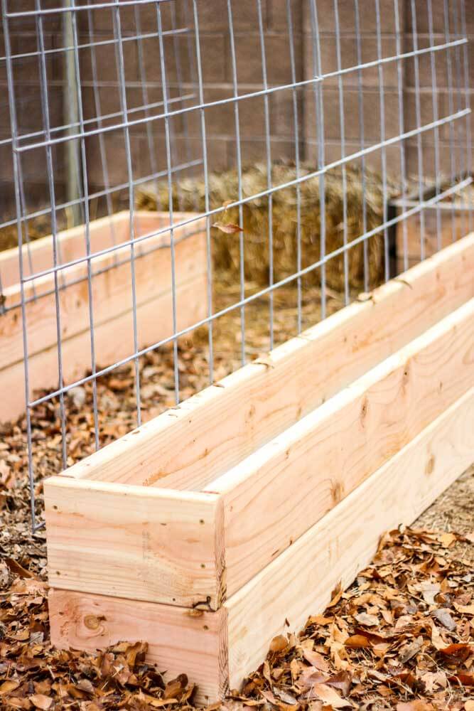 closeup of a trellis enveloping garden boxes