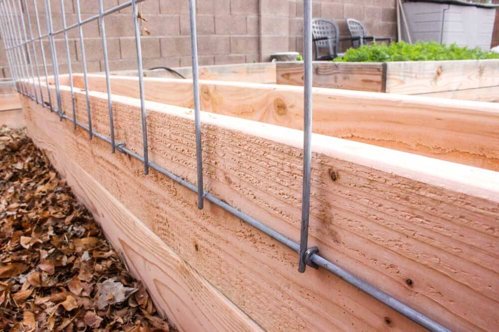 closeup of trellis attachements to garden boxes