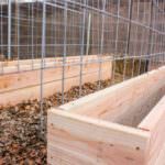 angled closeup of garden boxes within a trellis enclosure