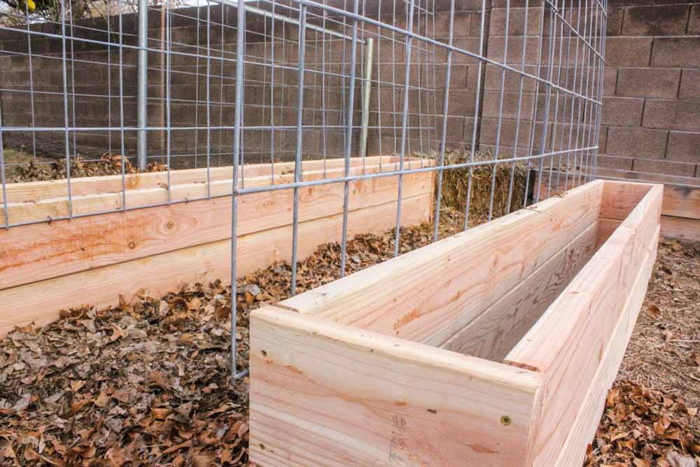 angled closeup of garden boxes within a trellis enclosure