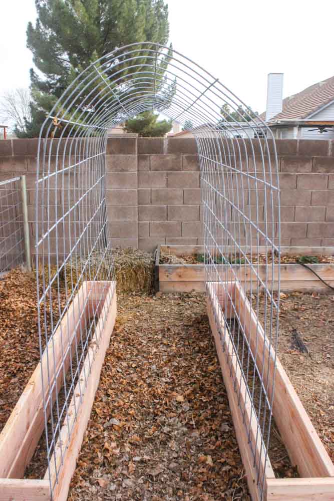 trellis with garden boxes near stone wall