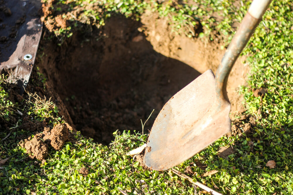 hand dug hole with shovel