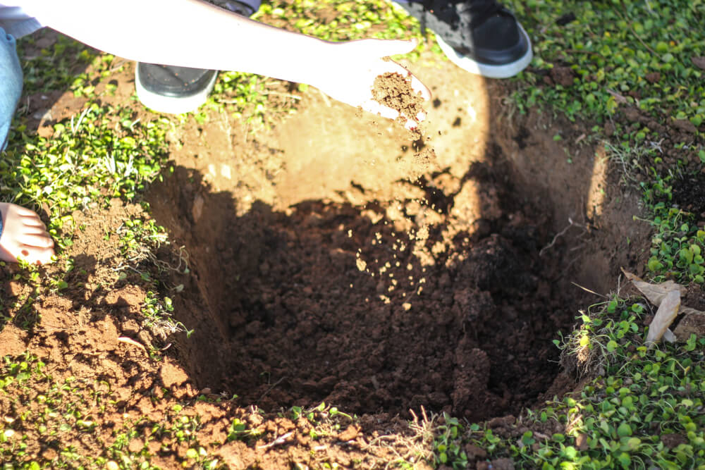 hand pouring soil into a hole
