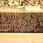 overhead shot of soil aranged in a wooden planter