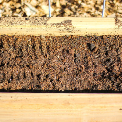 The BEST Soil Combination for Raised Garden Boxes