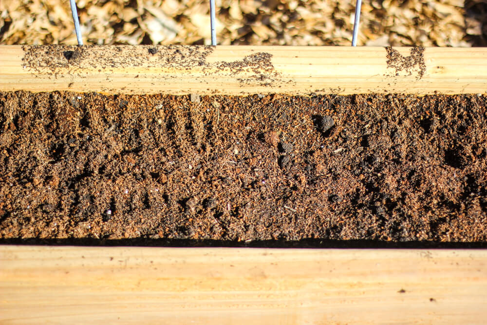 The Best Soil Combination For Raised Garden Boxes