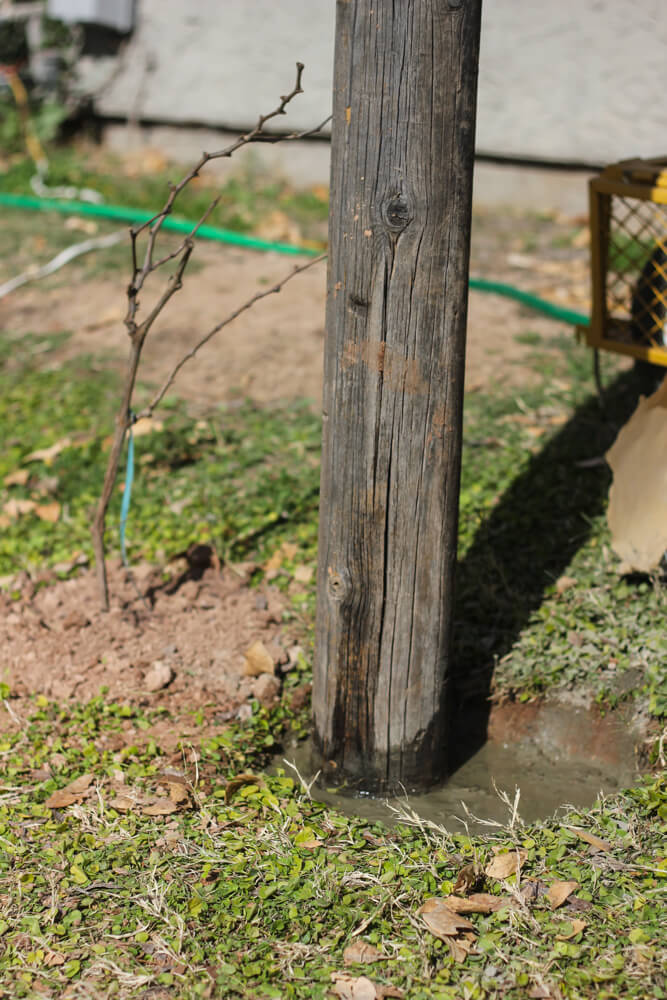 close shot of a post standing in wet concrete