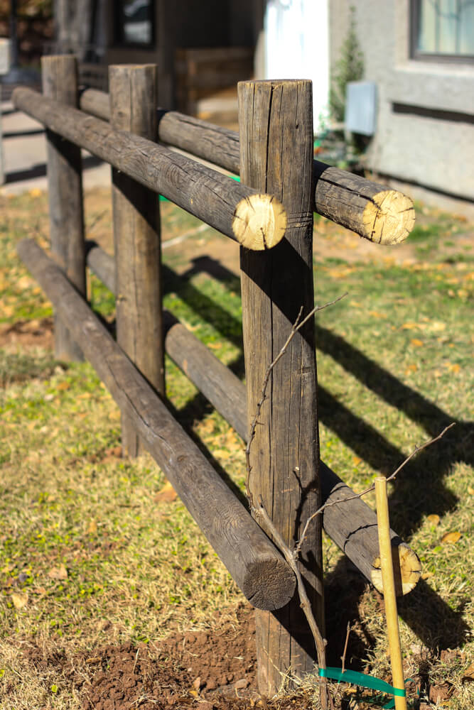 close shot of arbor in backyard with two rows of adjoining logs implemented on either side