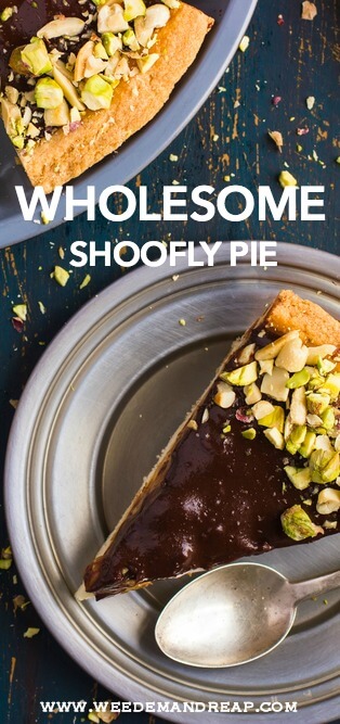 Yep, it's REALLY called Shoofly Pie. Here's how to make this delicious homemade treat, with all wholesome ingredients.