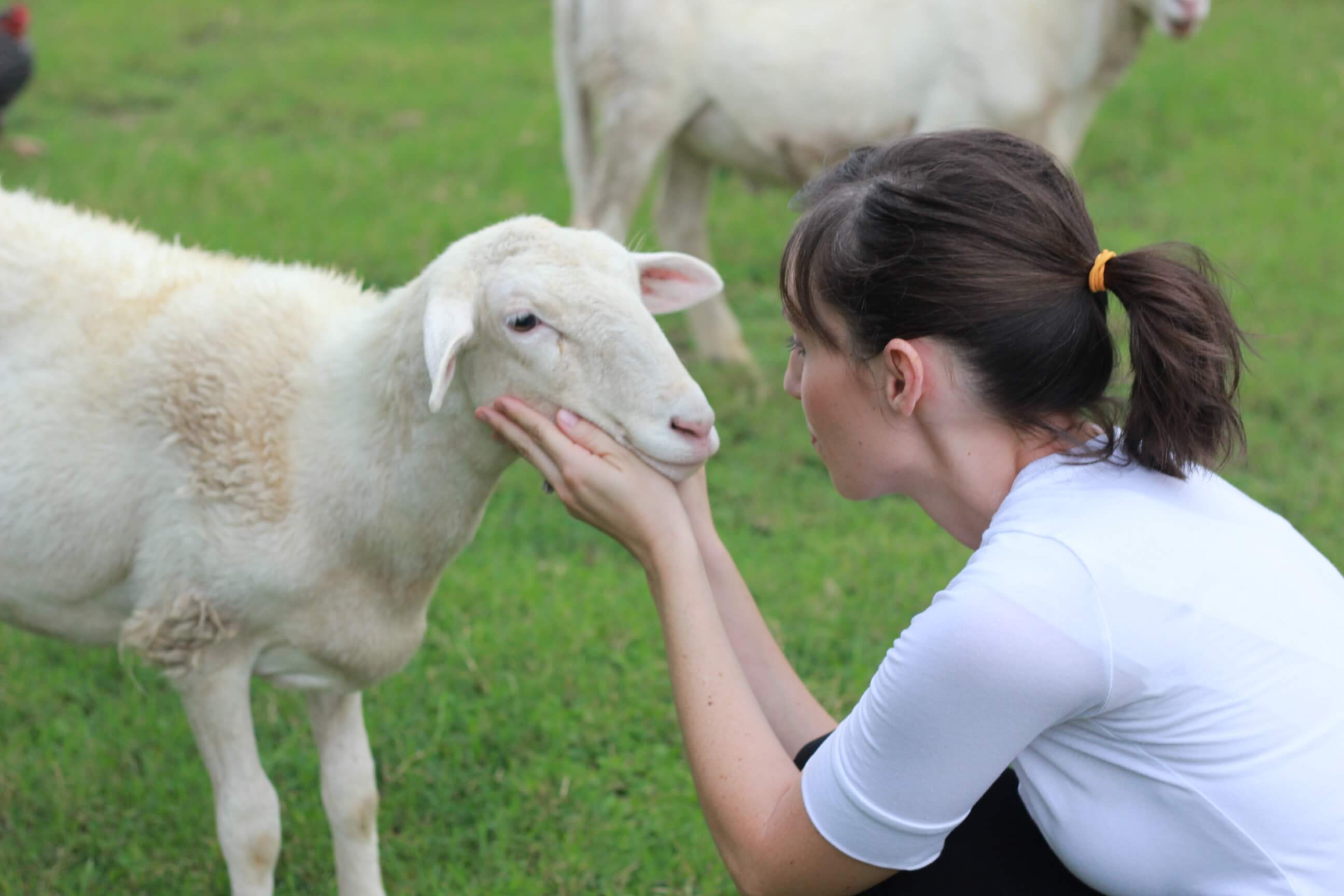 DaNelle holding a white sheep by the face