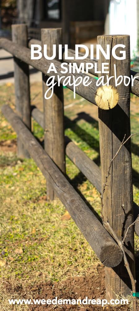 Building a Simple Grape Arbor || Weed 'Em and Reap