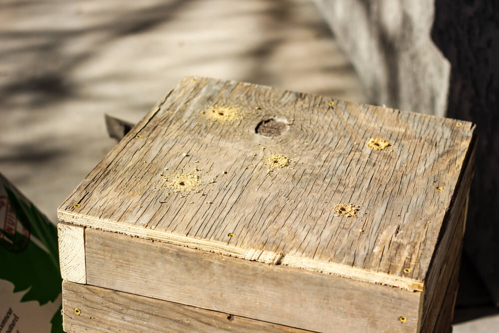 planter with five holes drilled into it