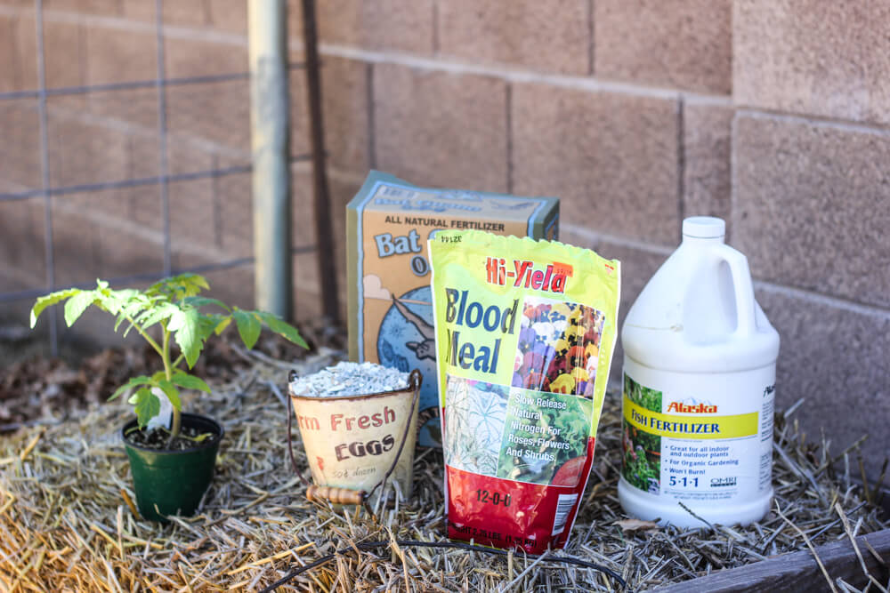 planting supplies for tomatoes