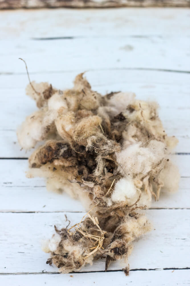 wool with dirt and hay on white painted wood