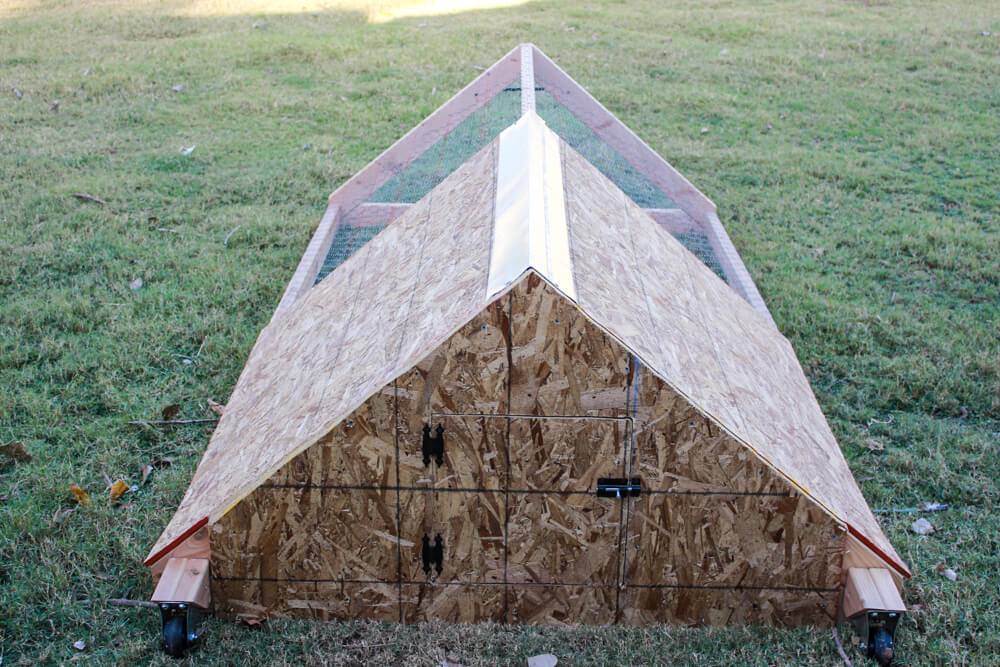 rear view of chicken tractor