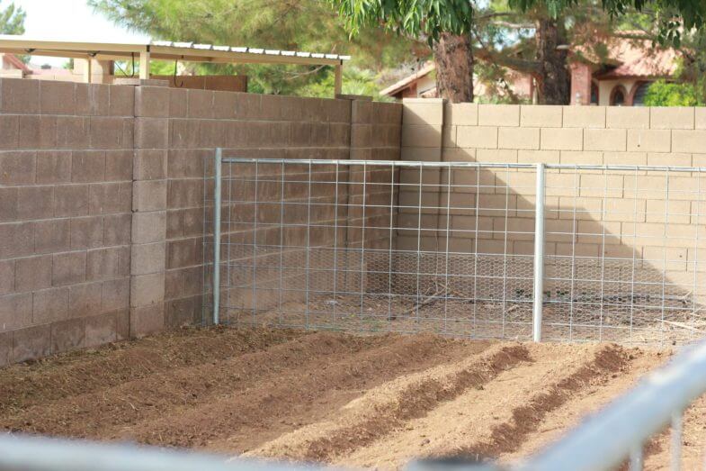 tilled section of a garden