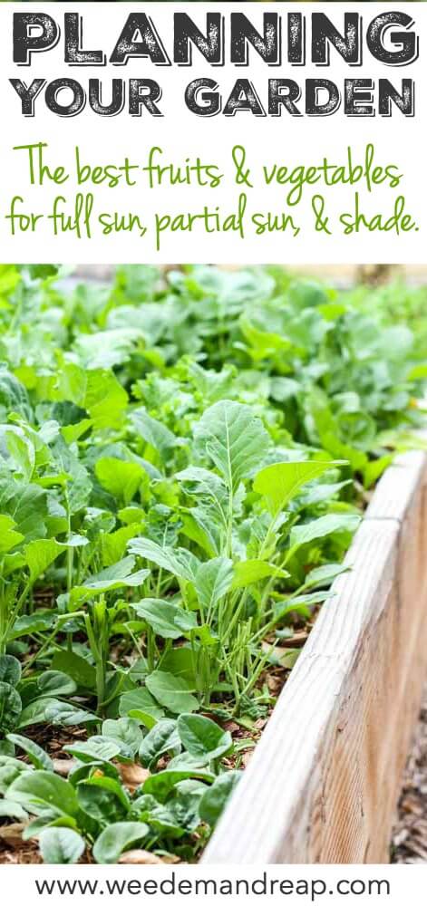 Planning Your Garden: The Best Vegetables For Full Sun, Partial Sun and Shade || Weed 'Em and Reap