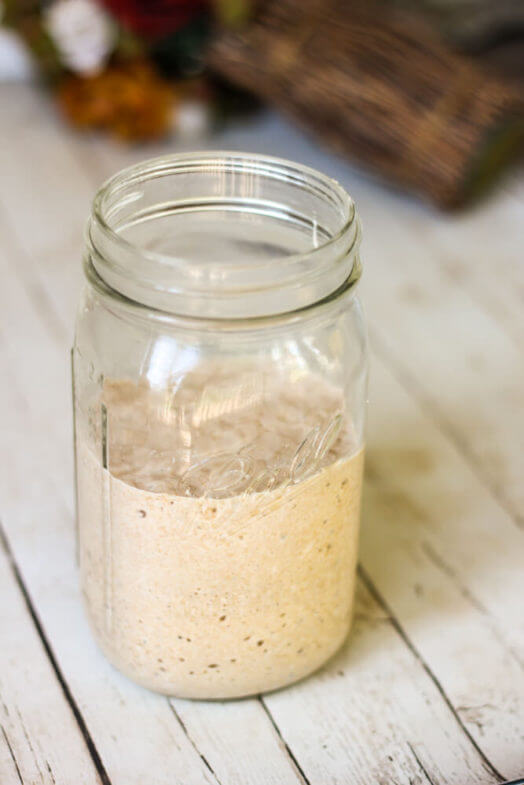 jar of wild yeast growing