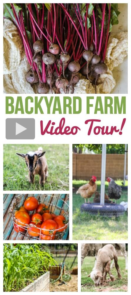 Spring 2016 Backyard Farm Tour Video - Pinterest | Weed 'em & Reap
