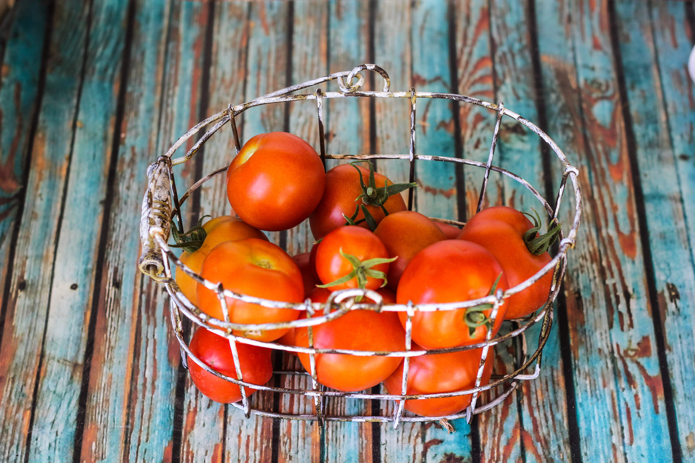 Spring 2016 Backyard Farm Tour - Tomatoes | Weed 'em & Reap