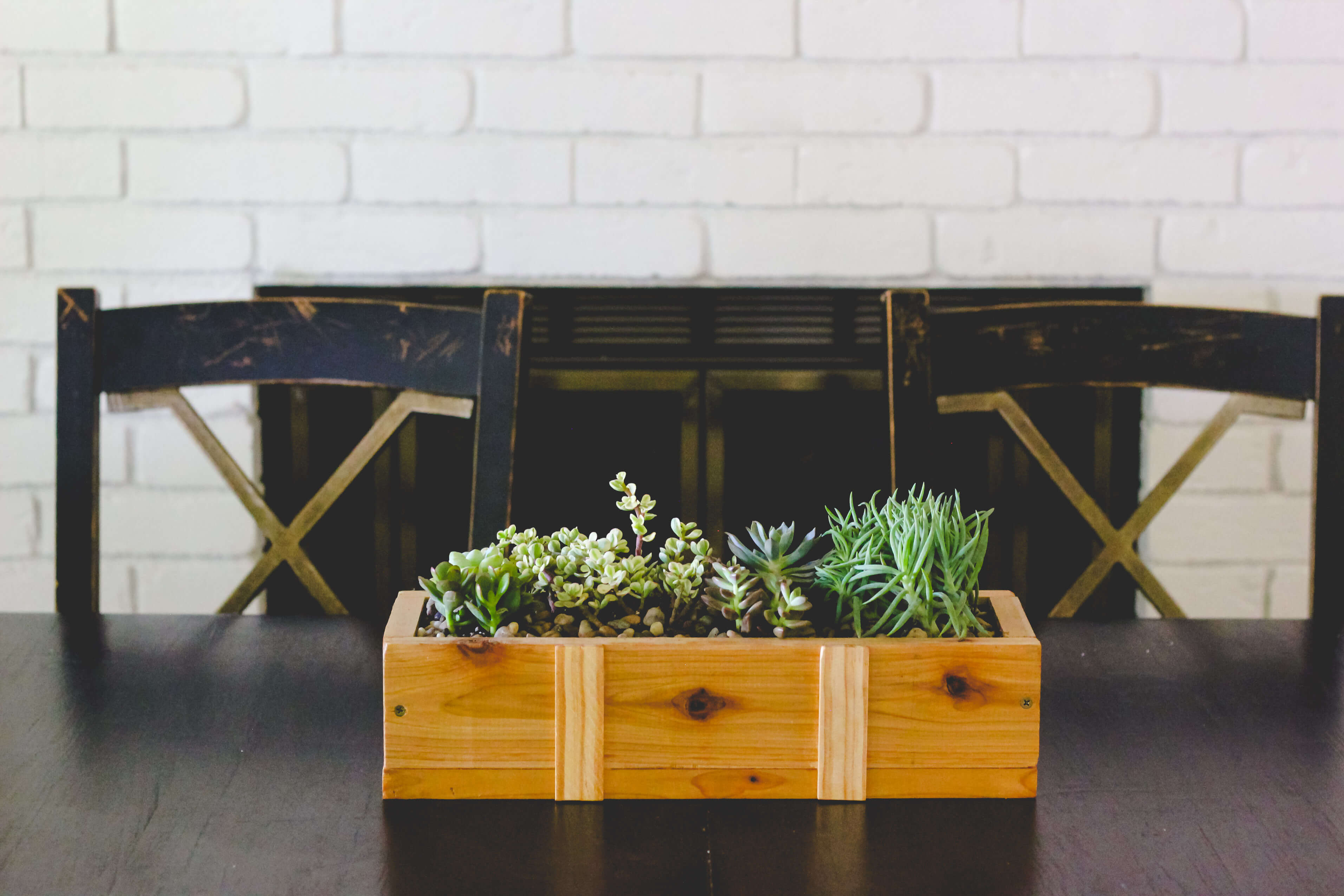 Succulent planter with white fireplace in background.