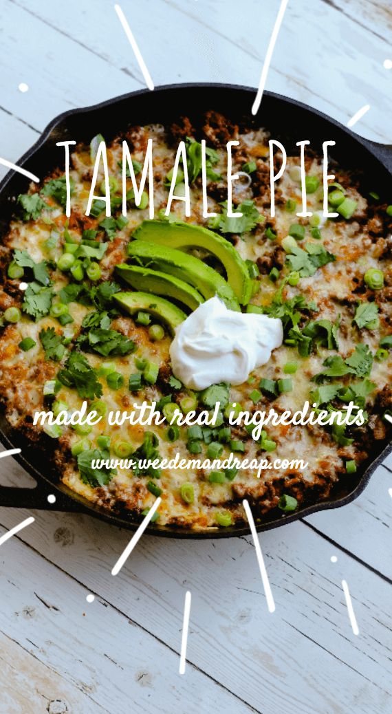 tamale-pie-pinterest