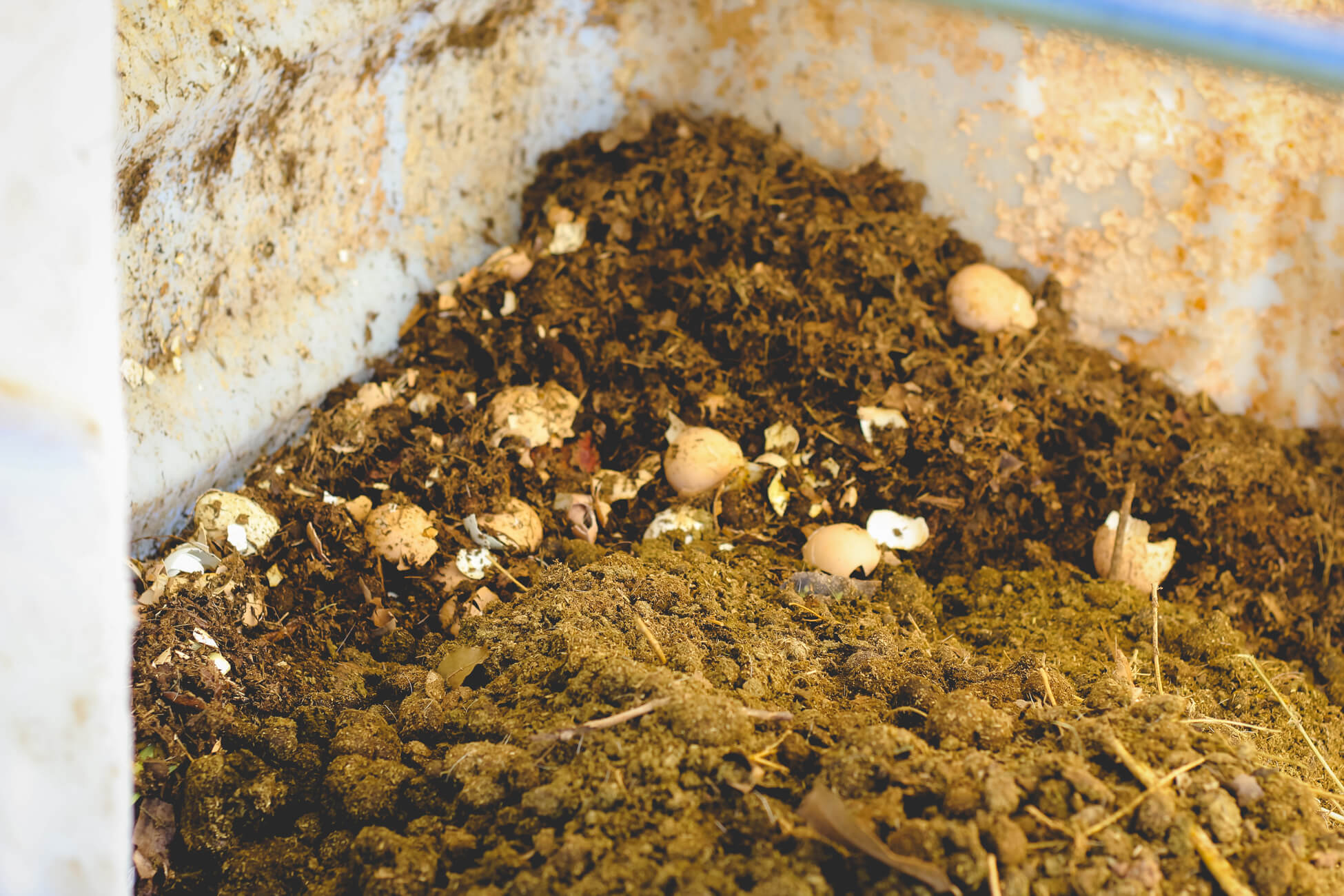 Compost materials to add to a compost bin