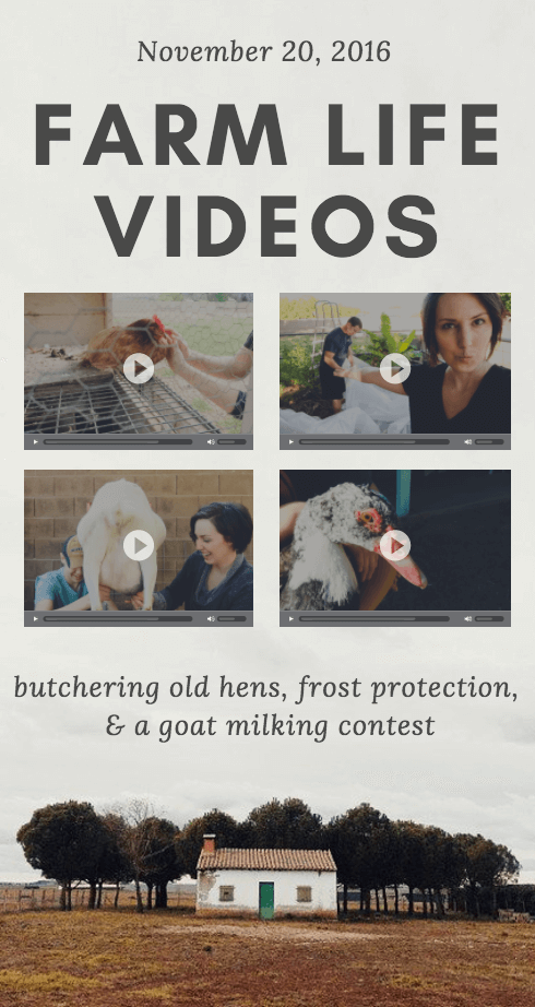 farm-videos-11-20-2016