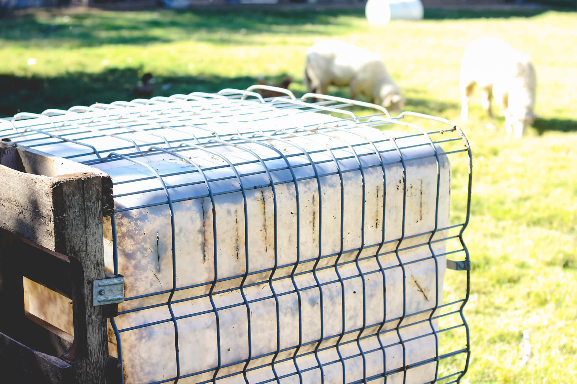 Water tank attached to a pallet