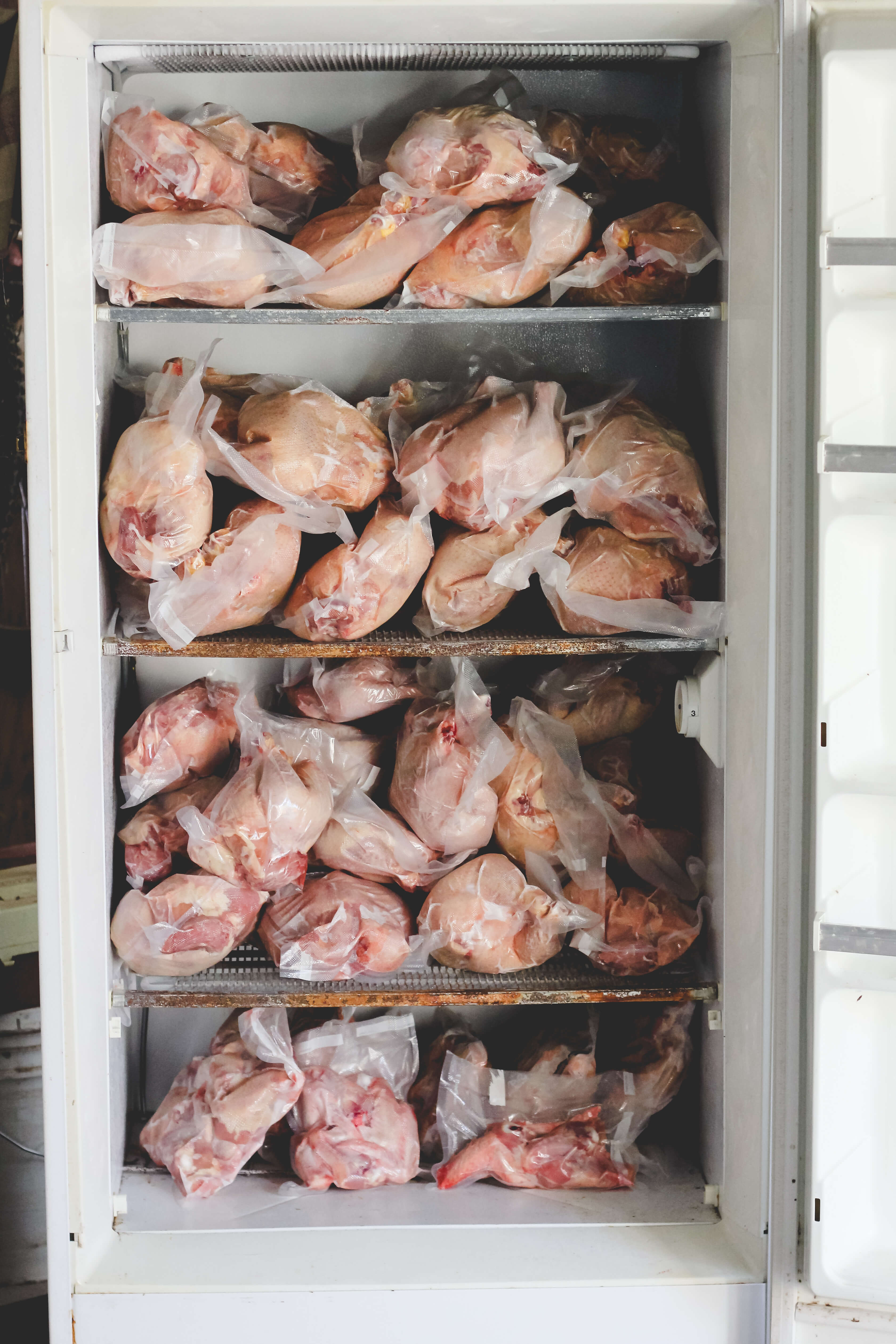 Freezer full of vacuum packed homegrown chicken