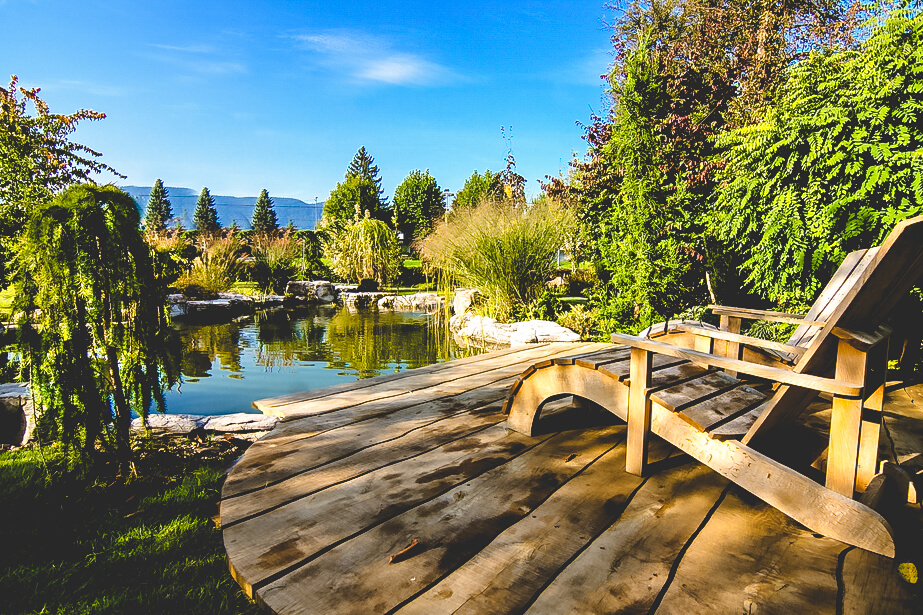 Pond on urban farm