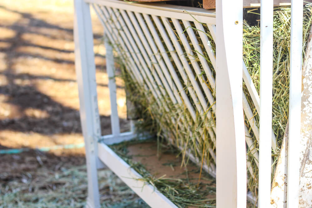 Hay in diy and homemade crib hay feeder