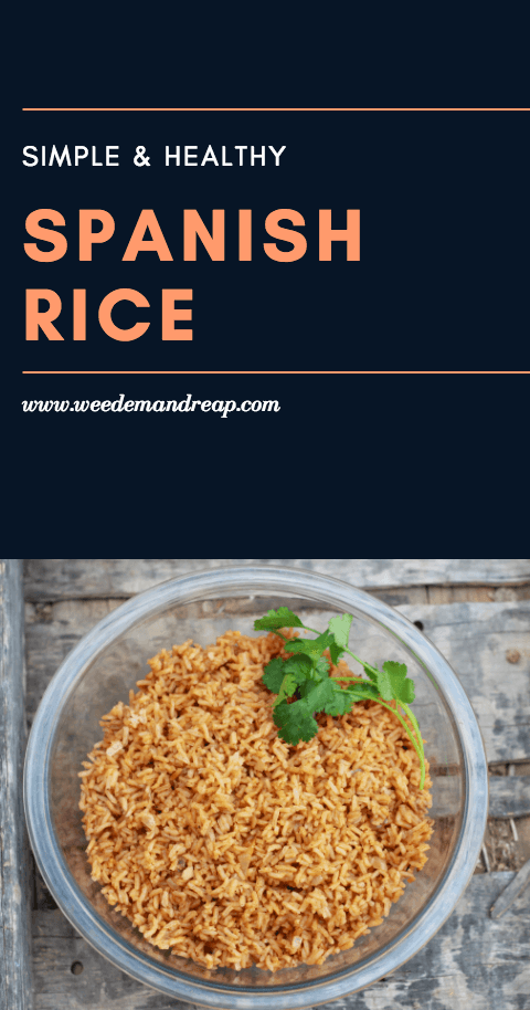 Healthy Spanish Rice with cilantro