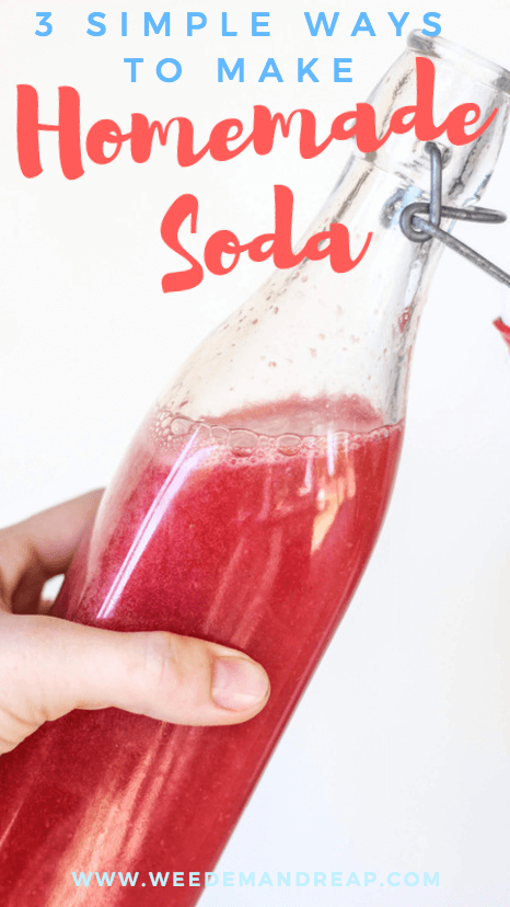 Three simple ways to make homemade soda