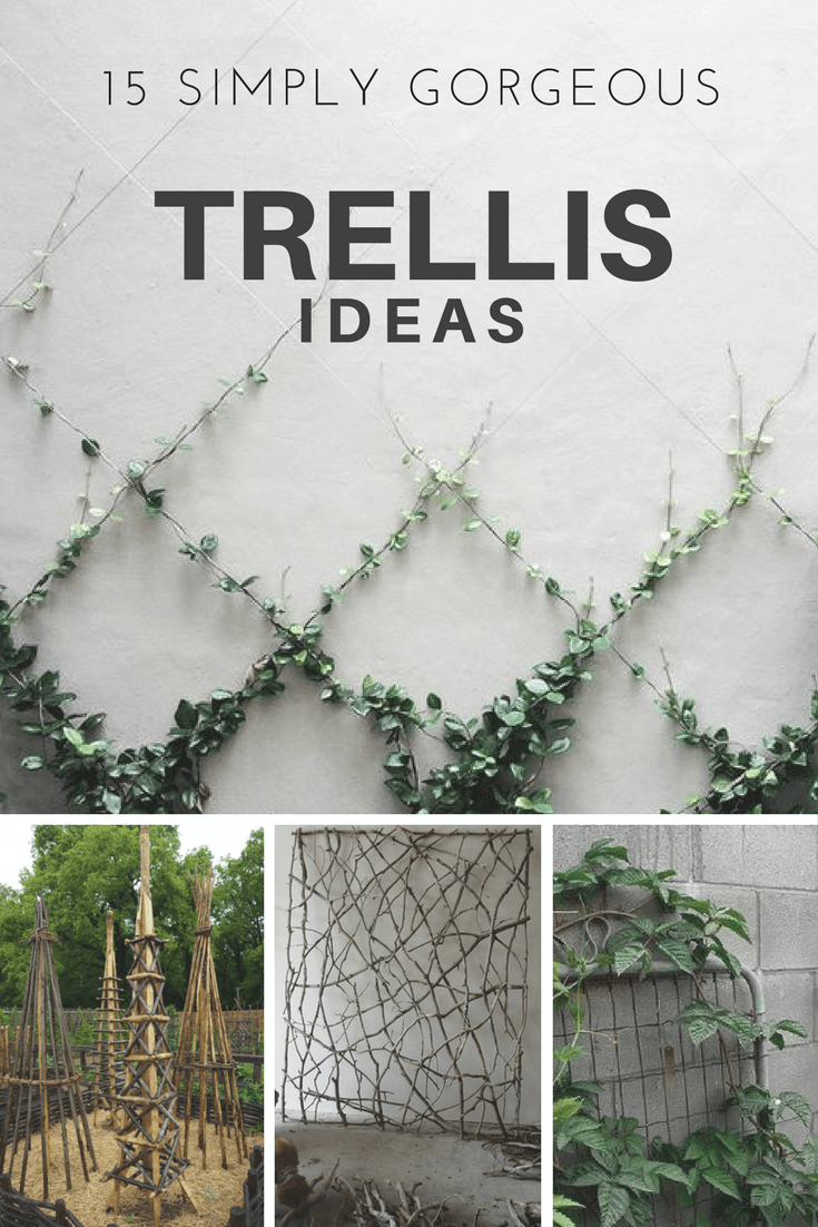15 Simply Gorgeous Trellis Ideas - Weed 'em & Reap