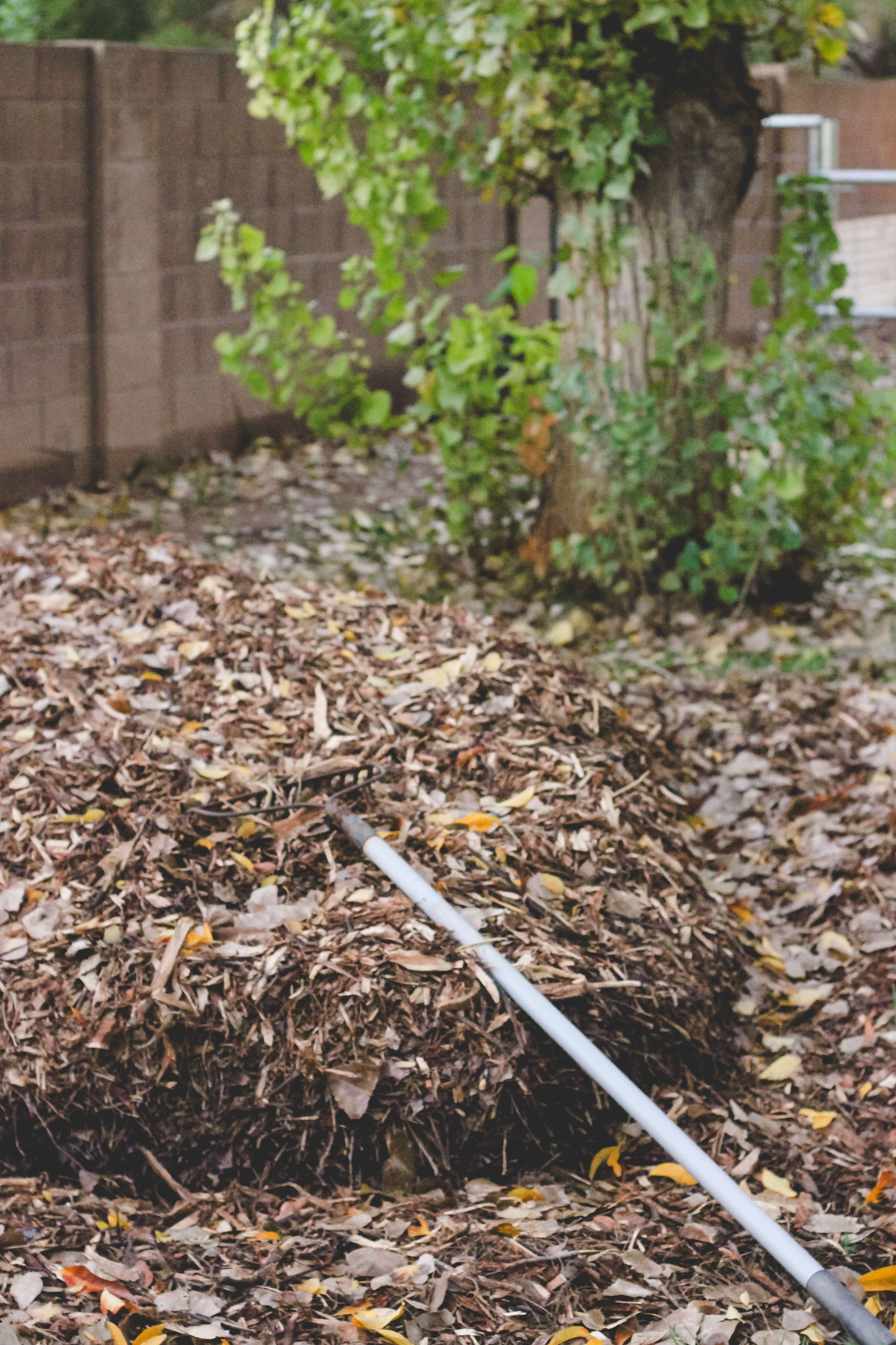 Large pile of wood chips for garden bed Garden weeds | How to keep weeds out of garden