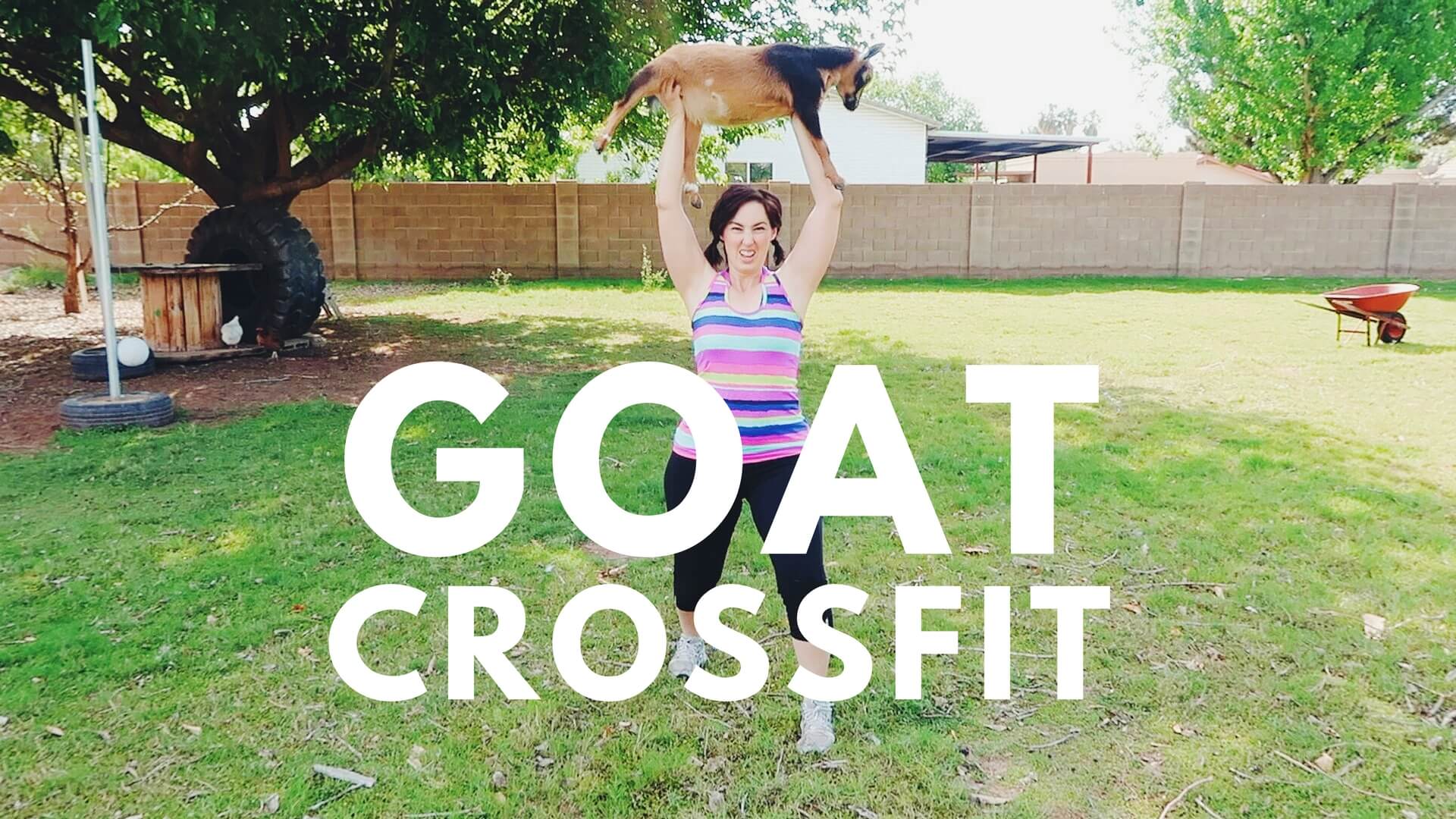 Goat Crossfit - Weed 'em & Reap