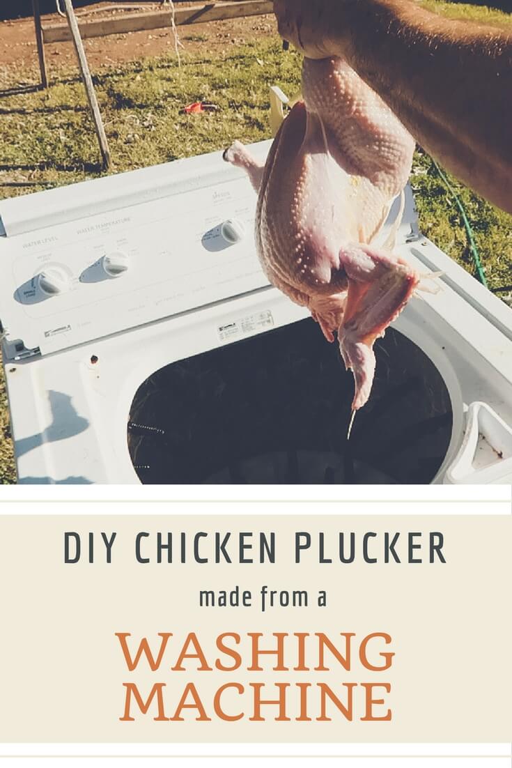DIY chicken plucker made from a washing machine