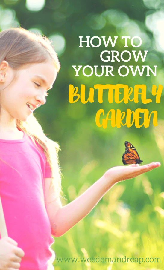 Grow Your Own Butterfly Garden | Weed 'em & Reap