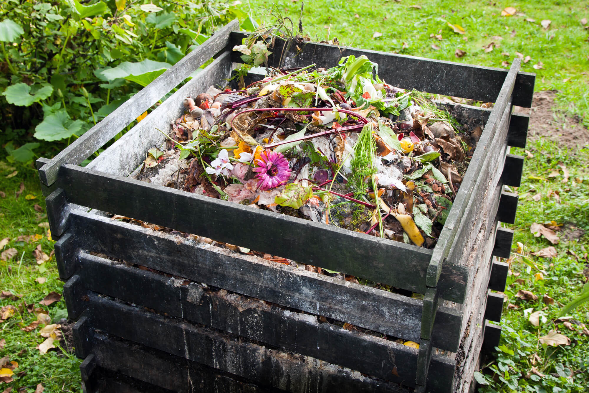 Worm Castings - Forget Composting