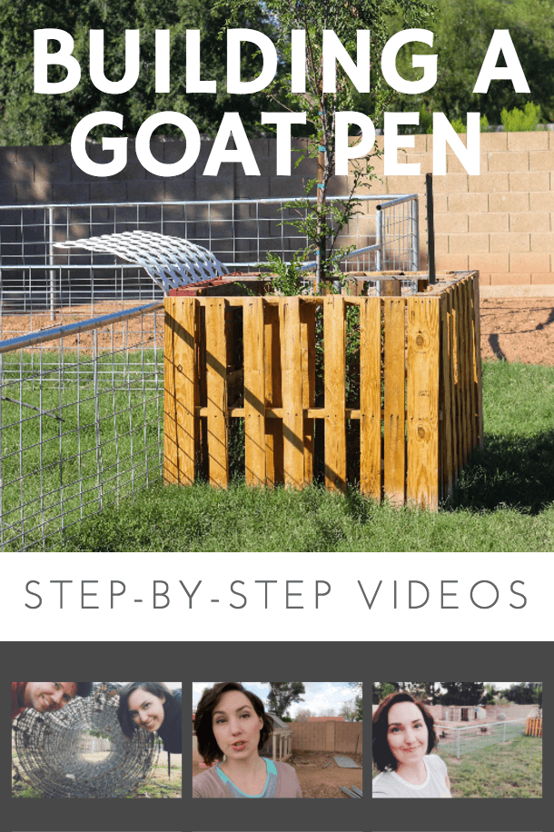 Building a goat pen - Weed 'em and Reap