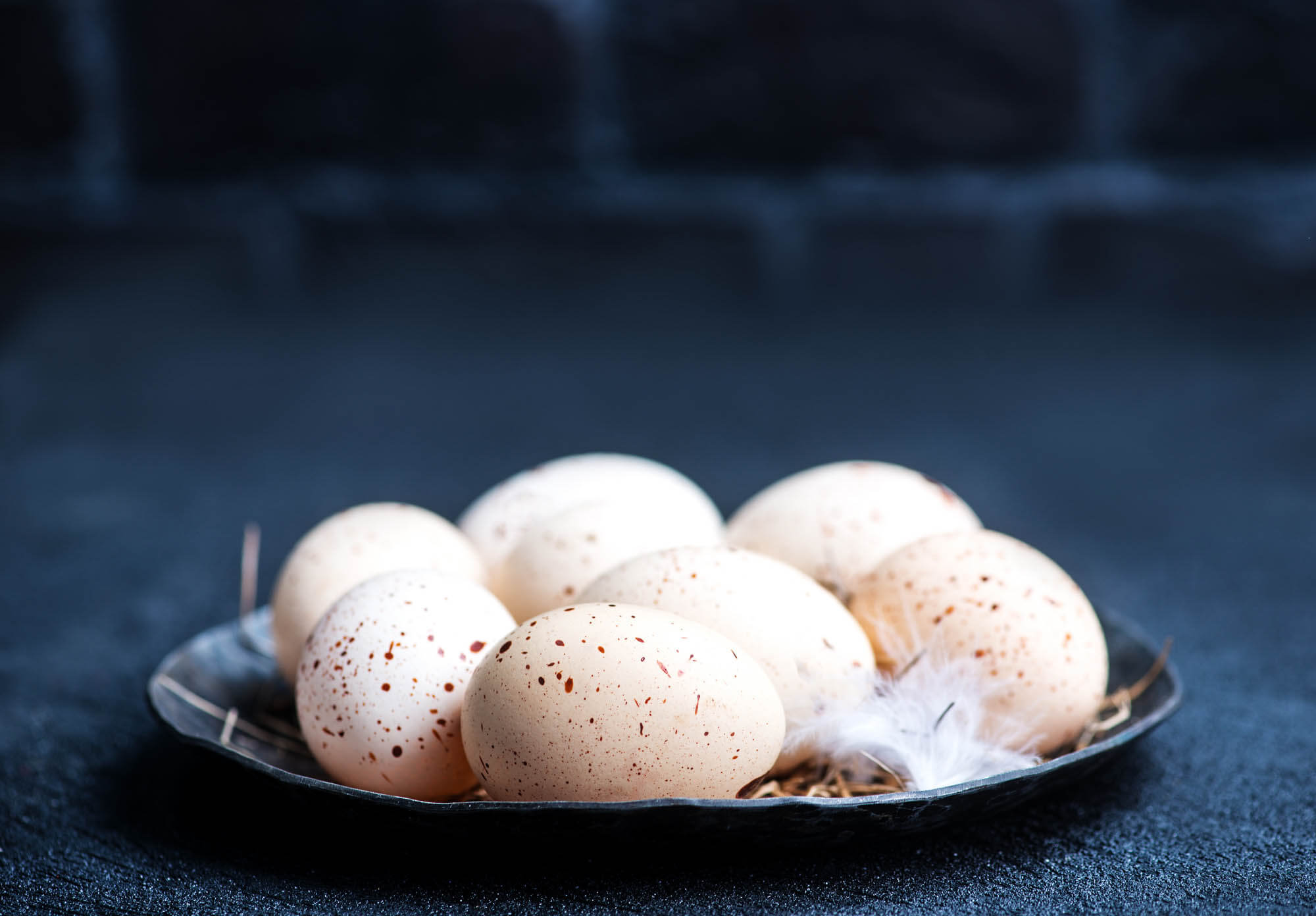 Best Duck Breeds for Beginners - Duck Eggs