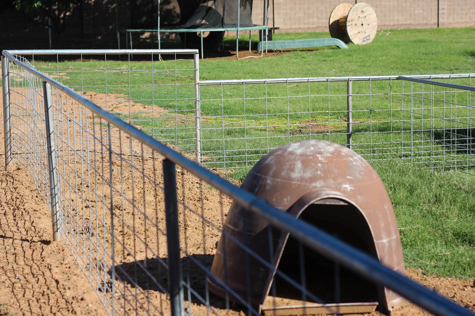 Building a goat pen - Wire Fence 