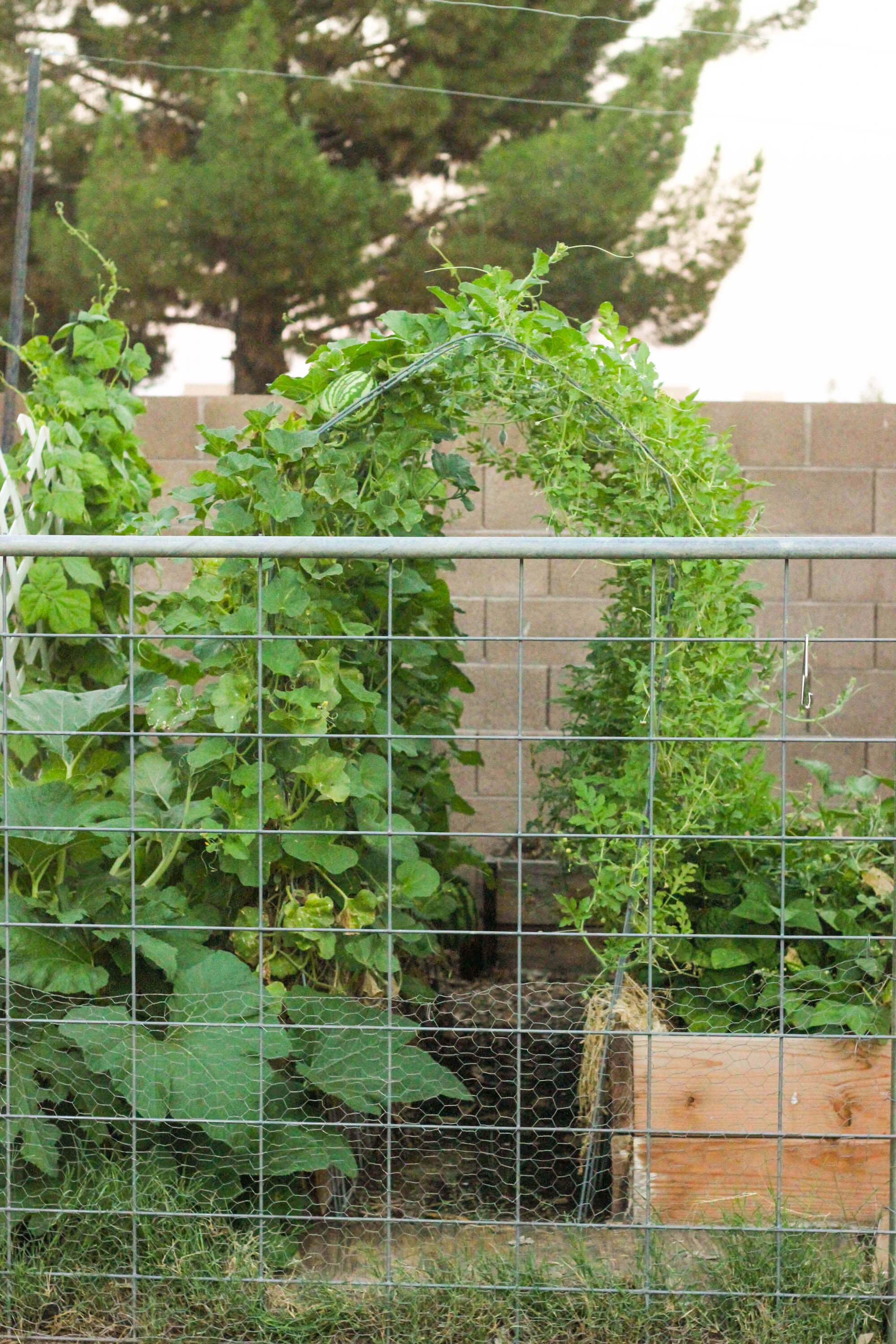 Urban farming - Garden Arc