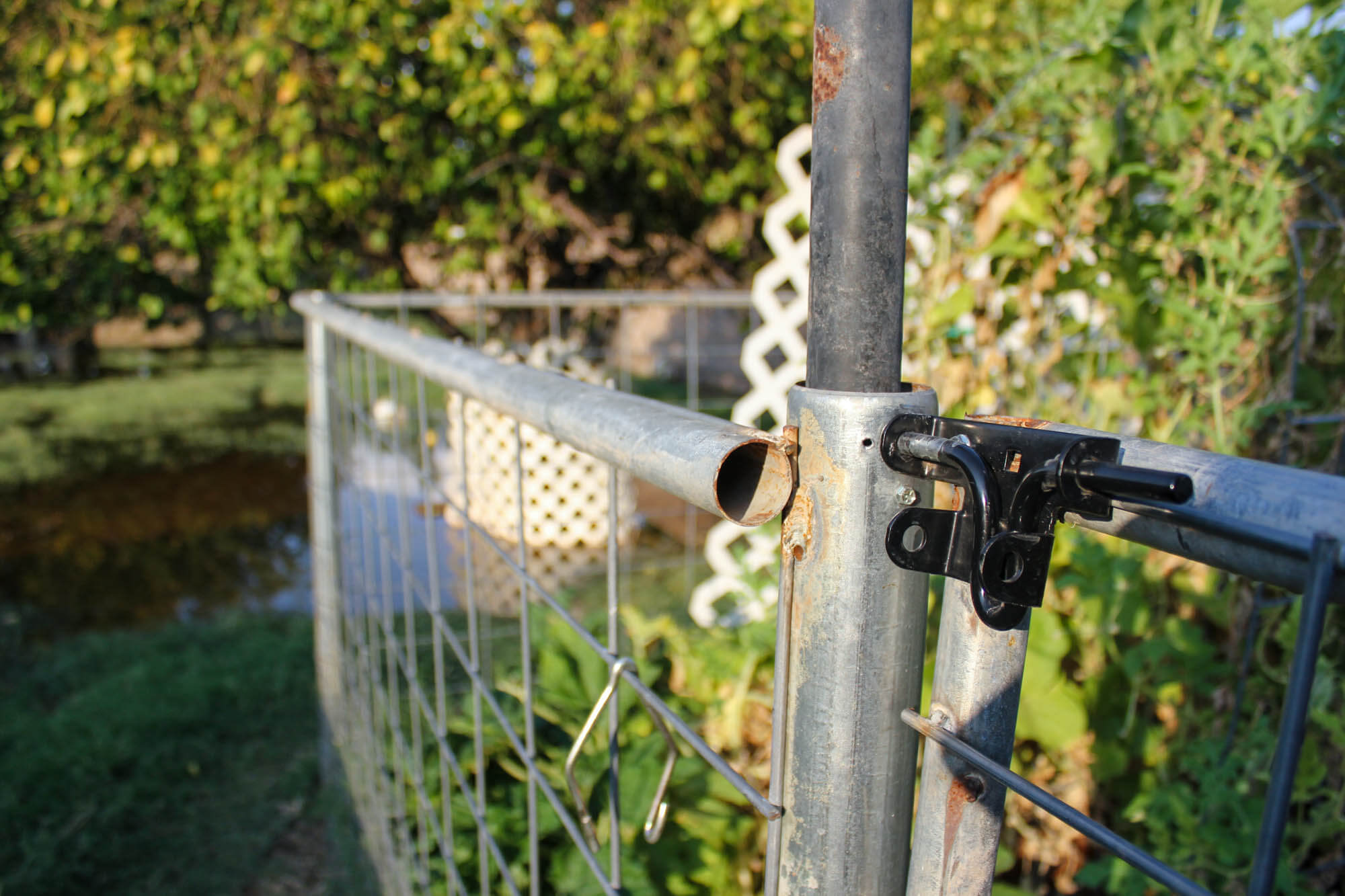 Homesteading - Fence