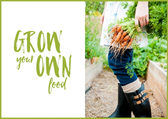 Grow your own food