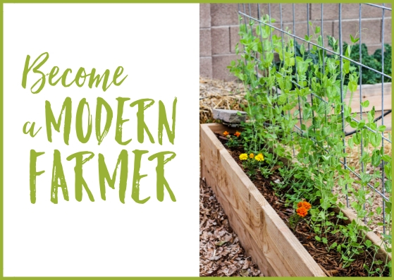 become a modern farmer