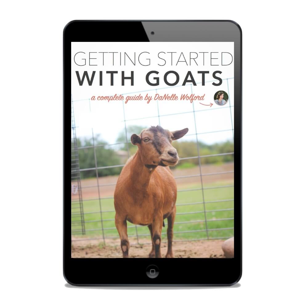 getting-started-goats